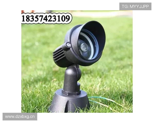 德国足球灯厂家排名（德国足球灯厂家排名前十）sports