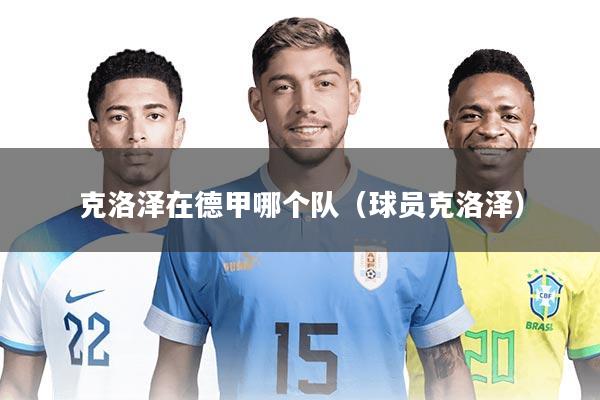 克洛泽在德甲哪个队（球员克洛泽）