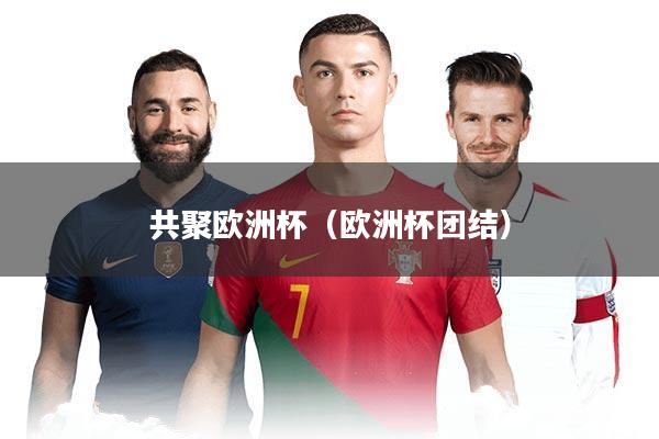 共聚欧洲杯（欧洲杯团结）